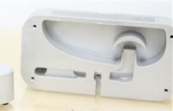 The horn, in section
